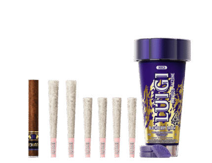 Blackberry Dream 4-in-1 Fattone