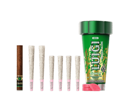 Watermelon 4-in-1 Fattone